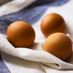 Притча за яйцето, страха и очевидните неща