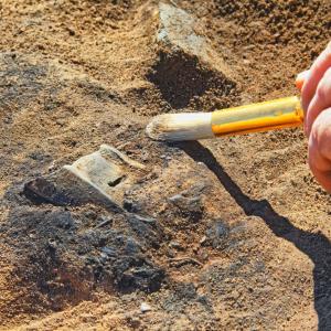 Откриха праисторически човешки скелет в пещера в Мексико