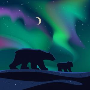 Грижата за мечките и хората във фокуса на Часа на Земята 2021