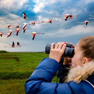 Наблюдението на птици помага на студентите да подобрят психичното си здраве и да ограничат стреса 