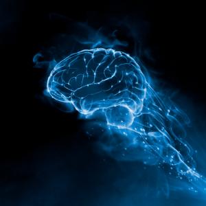 Избирателната памет съществува