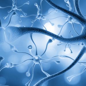 Изследване хвърля светлина върху начина, по който протеини, свързани с болестта на Алцхаймер, влияят върху растежа на невроните