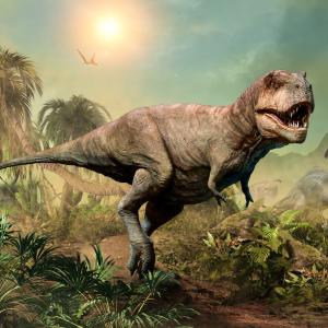 Там, където тиранозаврите са господствали, дори средно големите месоядни животни са изчезнали