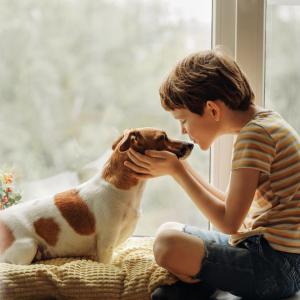 Кучетата намаляват риска от хранителна алергия у децата