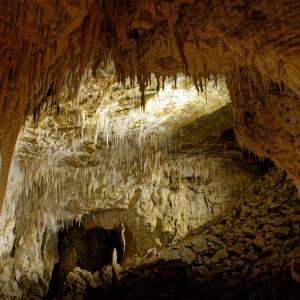 Древна пещера отваря прозорец към живота преди 1 милион години