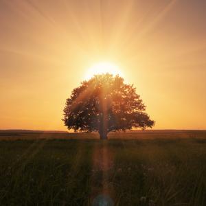 5 x 5 или как да изживеем новата година наистина различно