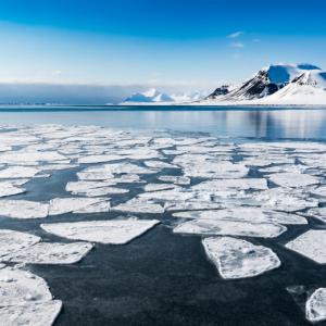 Микропластмасите във водорасли под арктическия лед заплашват хранителната верига на хората