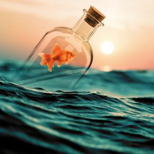 Когато имате чувството, че тъпчете на едно място