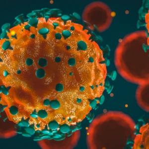 Антителата не са единственият белег за наличие на имунна защита срещу Covid-19