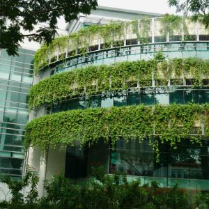 Може ли зелената сделка да спаси градовете?