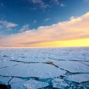 Какво се крие в арктическия лед?