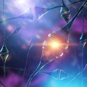 Кето диетата може да забави болестта на Алцхаймер