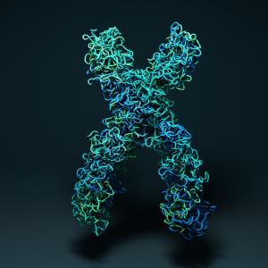 Хромозомите не изглеждат по начина, по който си мислите – създадоха 3D изображение на реална хромозома