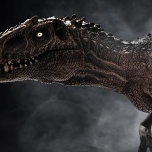 Тиранозавър рекс е достигал пълния си размер на 40-годишна възраст