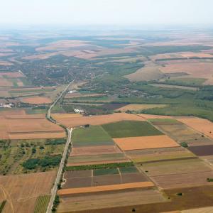 Горещо и сухо: жегата променя земеделието в Дунавската равнина