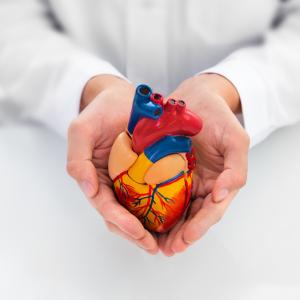 Как да се погрижим за здравето на сърцето си