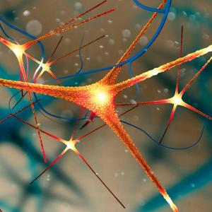 Протеин, свързан с Паркинсон, може да помогне да се обясни защо Алцхаймер засяга повече жени