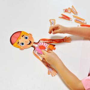 6 невероятни факта за човешкото тяло