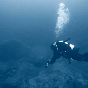Дубай влезе в рекордите на Гинес с „подводен свят“