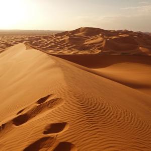 Повишаването на температурите може да предизвика 75% повече дъжд в пустинята Сахара до края на века