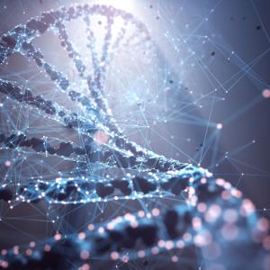 Учени откриха ключов ензим за борба със затлъстяването и диабета