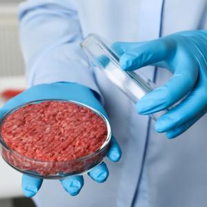 Месото, отгледано в лаборатория, е до 25 пъти по-лошо за околната среда от говеждото
