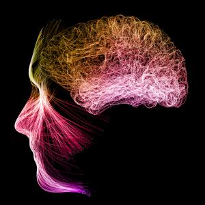 Медитацията може да промени мозъчната ви активност