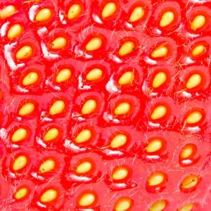 Това видео на ягода, погледната под микроскоп, ще съсипе деня ви