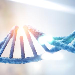 Епигенетичните промени регулират генната експресия, но какво регулира тях?