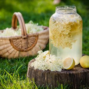 Полезен ли е сокът от бъз?