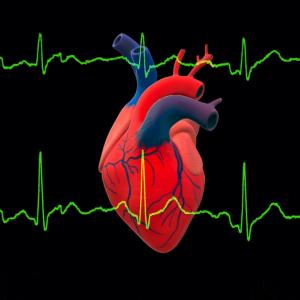 Огромно проучване свързва 99% от сърдечните пристъпи и инсулти с четири рискови фактора
