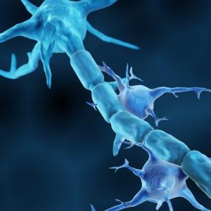 Учените изпробват обещаващ нов подход в борбата за лечение на автоимунните заболявания