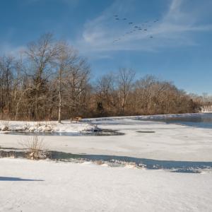 Детето пита: Защо ледът пука 