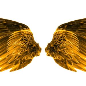 В Рая думите непременно се превръщат в ноти