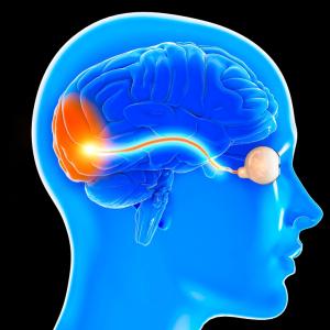 Зрителният нерв влиза в критериите за диагноза на множествена склероза