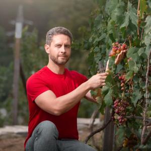 Виц: Трите периода в живота на мъжа