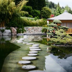 Шинрин-йоку – горски бани за повече тонус: японският начин за релаксация