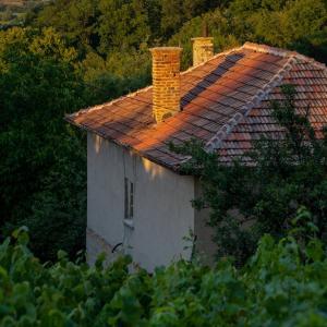 Невидимият гигант: защо обновяването на българските къщи буксува