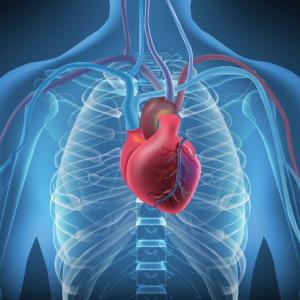 Сърдечният арест може да бъде съпроводен с предварителни симптоми