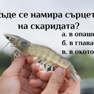 Проверете общата си култура с този интересен тест