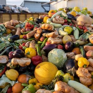 Цената на изхвърлената храна (подкаст)