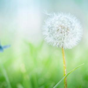 Отвъд видимото е красотата