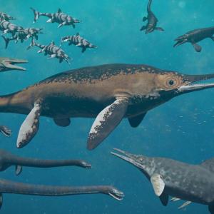 Микроскопични магнитни вкаменелости може да са били „вътрешна GPS система“ на древни морски животни