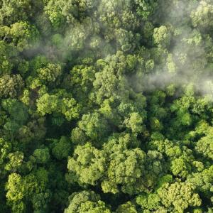 Създадоха система за превръщане на отпадъчен въглероден диоксид в полезни химикали