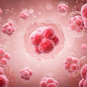 Откриха ключов протеин за натрупването на мазнини в клетките