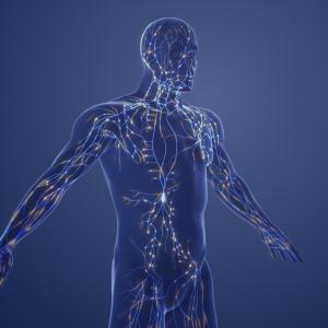 Създадоха полимер, подходящ за печат на изкуствени органи