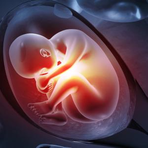 Бебетата са изложени на 42 „вечни химикала“ още преди раждането, показва изследване