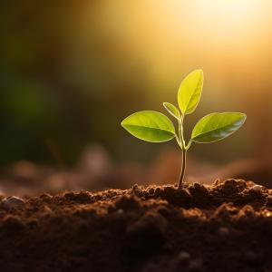 Терахерцова спектроскопия разкрива как растенията управляват водата чрез устицата на листата си