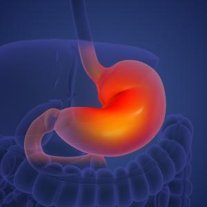 Учени откриха ключови нервни компоненти, които влияят върху растежа на тумори в стомашно-чревния тракт