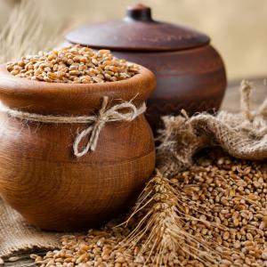 Житният режим на Петър Дънов - кога започва, как се изпълнява и какво символизира?